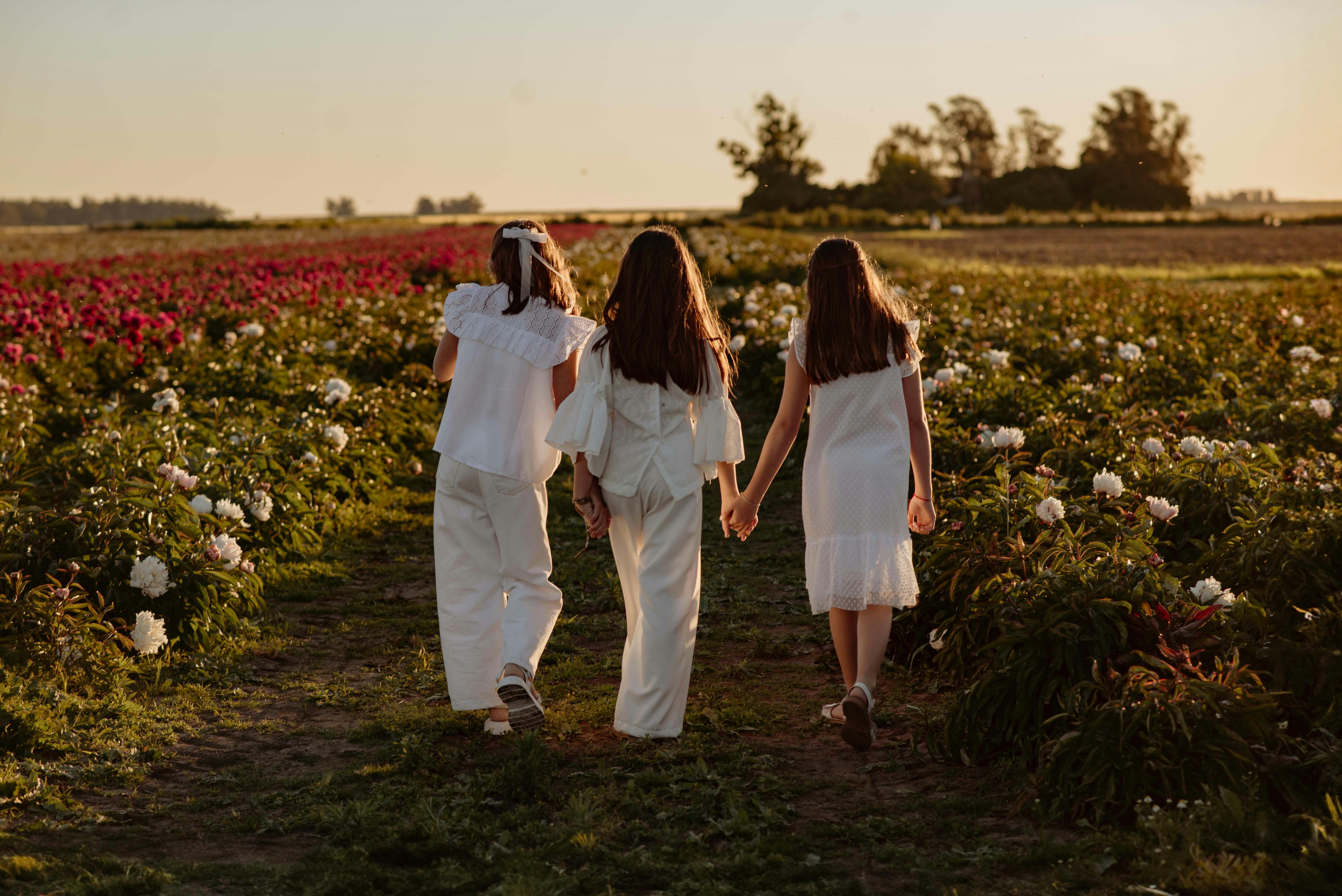 轻盈通透气质的生活影像